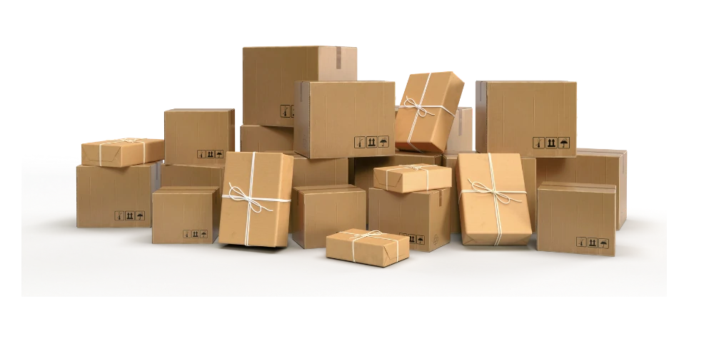 Wholesale Fashion